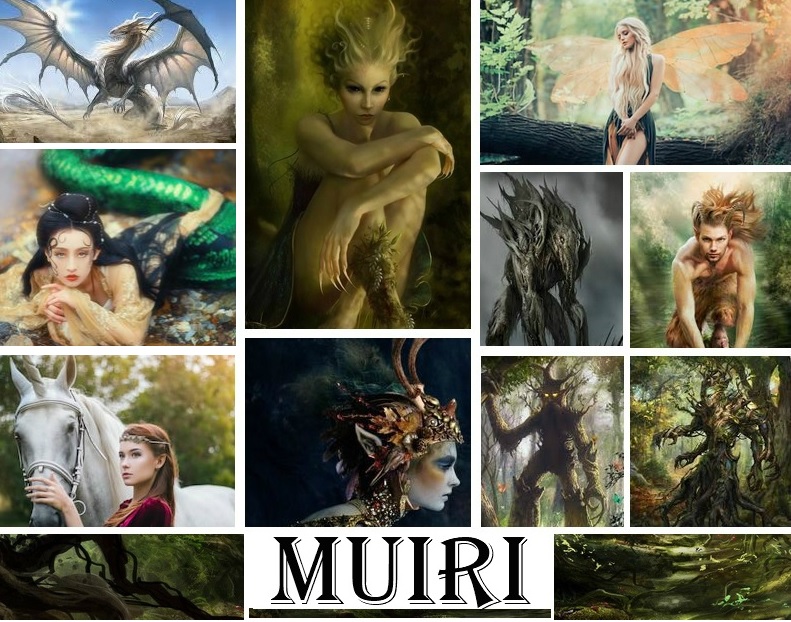 Muiri Collage 2.jpg