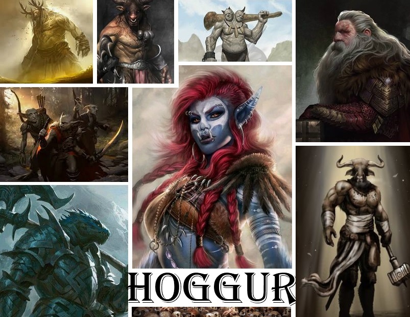 Hoggur Collage 2.jpg